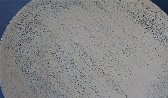 <strong>MEISTERWERK｜マイスタヴェルク</strong><br />マイスタヴェルクフーズ元麻布店「うつわフェア」　赤木明登氏の作品