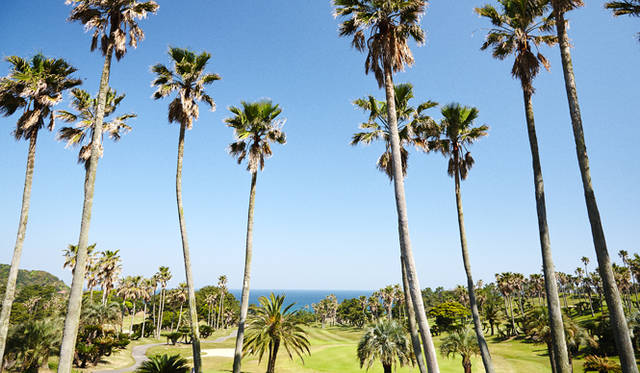 国内でも数少ない海沿いの地形を生かしたコース。その眺望は言うにおよばず、高い戦略性が求められるレイアウト。整備されたコンディションは大人のリゾートゴルフに最適<br /><br />志摩シーサイドカンツリークラブ<br />福岡県糸島市志摩野北575<br />Tel.092-327-2131<br />http://www.simascc.com/<br />