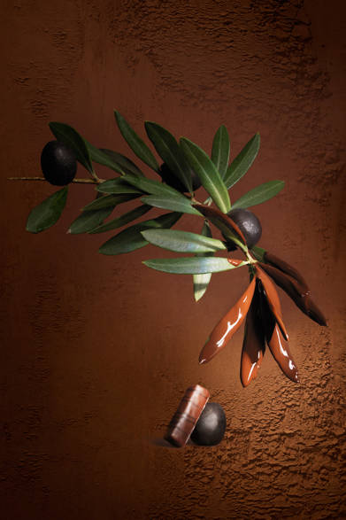 オリーブオイルの上品なノートにはじまり、細かく刻んだ黒オリーブとナッツの濃厚なプラリネで幕を閉じる「プラリネ オリーヴ ノアール」