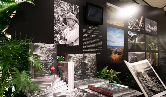 <strong>ISETAN｜伊勢丹</strong><br />伊勢丹新宿店本館1階＝ザ・ステージ「ブラジル・ファンタスチコ！ 祝彩楽園 ブラジル」