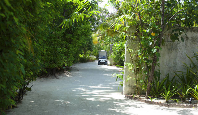 maldives_04_MG_3472