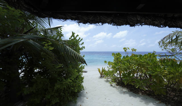 maldives_04_MG_3503