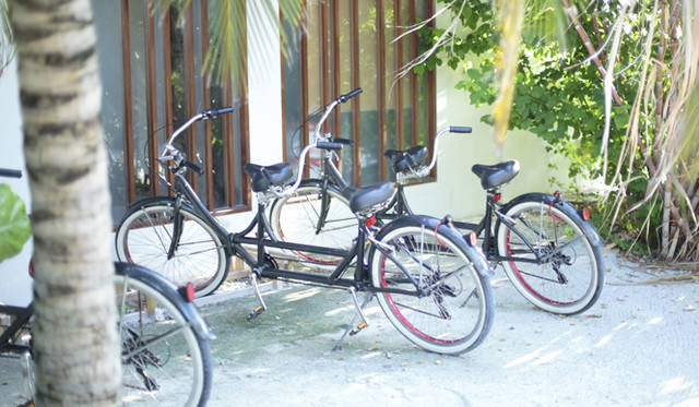 _MG_3557 各部屋には大人用2台と子ども用1台、計3台の自転車が備え付けられている