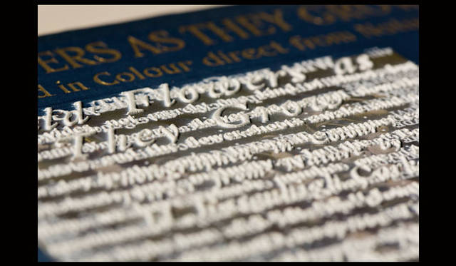 <strong>JAGDA賞2015</strong><br />受賞作品：環境・空間「ワンオフデザイン」<br />出品者：植原亮輔・渡邉良重（個展の空間構成　オーガナイズ：パス ザ バトン／キギ）