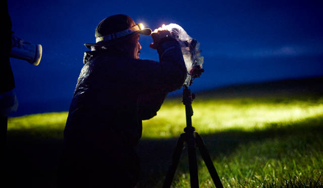 Toyota Harrier|トヨタ ハリアー