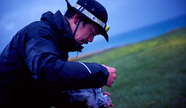 Toyota Harrier|トヨタ ハリアー