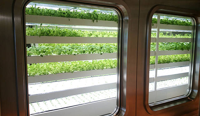 銀座・伊東屋 新本店ビル11F：水耕栽培で、レタスのほか4種類の野菜を育てている「FARM」をテーマにしたフロア。来店者も見学することができる。栽培されている野菜は、12Fのカフェ「Stylo（スティロ）」で提供される