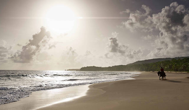 <strong>AMAN｜アマン</strong><br />ドミニカ共和国「Amanera（アマネラ）」 ©Aman