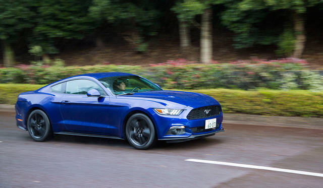 Ford Mustang 50 Years Edition|フォード マスタング 50 イヤーズ エディション