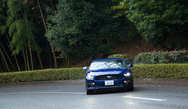 Ford Mustang 50 Years Edition|フォード マスタング 50 イヤーズ エディション