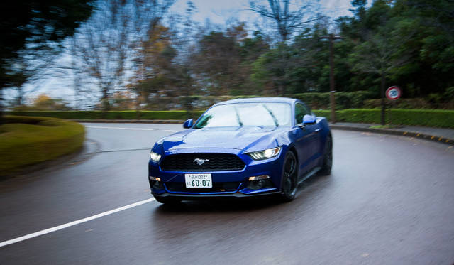 Ford Mustang 50 Years Edition|フォード マスタング 50 イヤーズ エディション