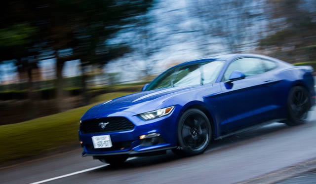 Ford Mustang 50 Years Edition|フォード マスタング 50 イヤーズ エディション