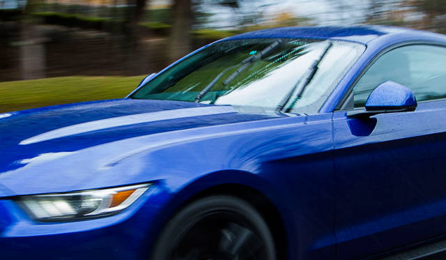 Ford Mustang 50 Years Edition|フォード マスタング 50 イヤーズ エディション