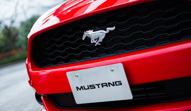 Ford Mustang 50 Years Edition|フォード マスタング 50 イヤーズ エディション