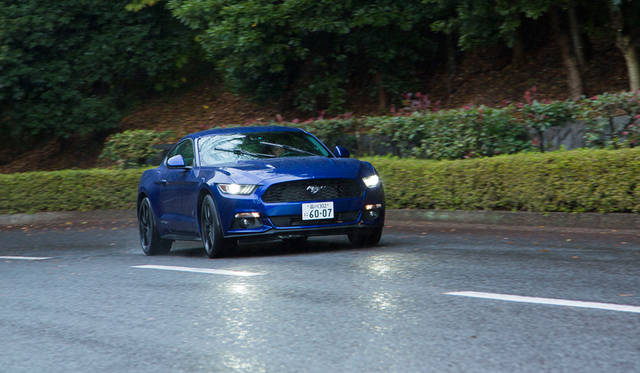 Ford Mustang 50 Years Edition|フォード マスタング 50 イヤーズ エディション