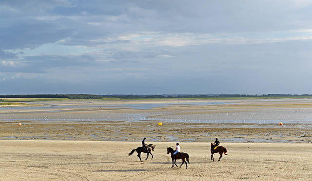 何キロもある湿地帯を巡るには馬のツアーもかなり魅力的