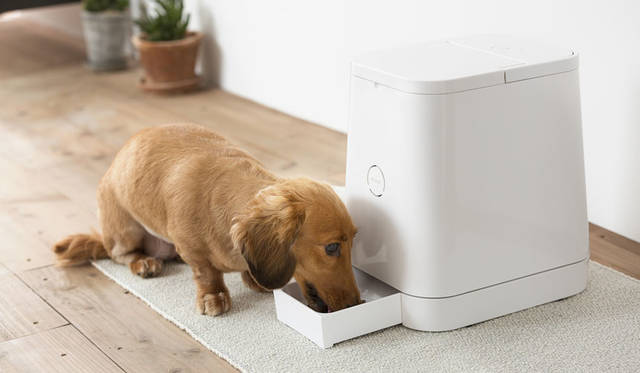 <strong>RINN｜リン</strong><br />猫・小型犬専用 自動給餌器「PETLY（ペットリー）」2015年モデル