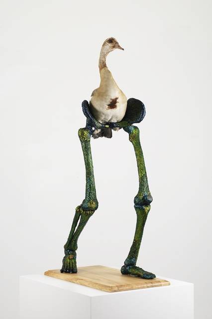 DIVINE FERTILITY <br />Photographer : Lieven Herreman<br />Copyright : Angelos bvba