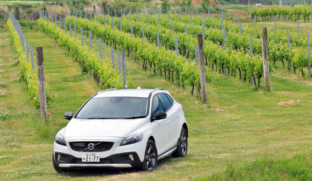 26_Volvo_V40_Cross_Country_T5_AWD