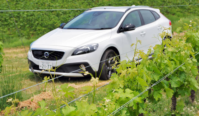28_Volvo_V40_Cross_Country_T5_AWD