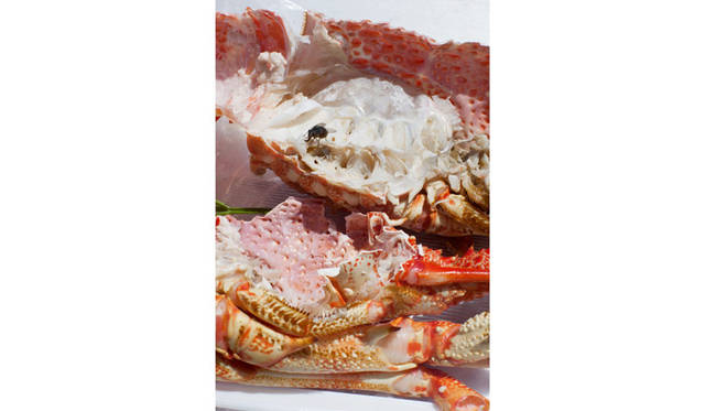 astro crusto, a, 2012 Wolfgang Tillmans / Courtesy of Wako Works of Art, Tokyo