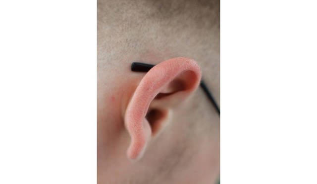 Outer Ear, 2012 Wolfgang Tillmans / Courtesy of Wako Works of Art, Tokyo（参考図版）