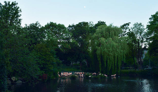 18 <strong>ZOOmeravonden</strong><br>日程|6月6日(土)〜8月29日(土) ※毎週土曜<br>時間|9:00〜日没<br>入場料|2歳まで無料、3〜9歳 16.5ユーロ、10歳以上 19.95ユーロ<br>会場|Natura Artis Magistra<br />Plantage Kerklaan 38-40, Amsterdam, Netherlands<br />http://www.artis.nl<br /><br>Photographs by YUI Kiyomi (Amsterdam)