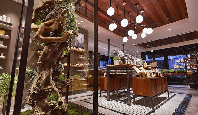 <strong>john masters organics｜ジョンマスターオーガニック</strong><br />東京・表参道の旗艦店「john masters organics TOKYO」