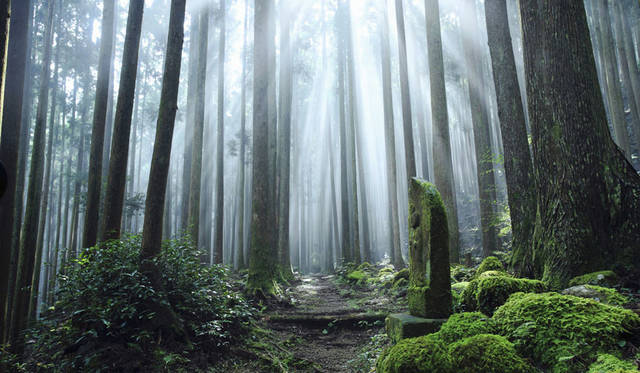 <strong>AMAN</strong>熊野古道 ©Aman