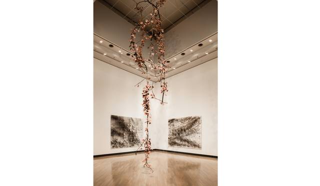 『朝顔』（2015年、作家蔵）、『春夏秋冬』（2014年、作家蔵）の展示風景Photo by KAMIYAMA Yosuke