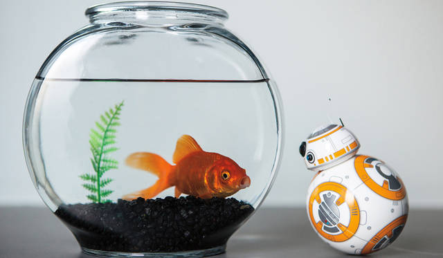 <strong>sphero｜スフィロ</strong><br />「BB-8™」　© & ™ Lucasfilm Ltd.