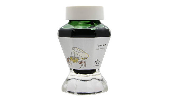 <strong>KINGDOM NOTE｜キングダムノート</strong><br />セーラー万年筆ボトルインク　キングダムノート別注「日本の生物シリーズ 甲殻類」  シオマネキ（Uca arcuata）：くすんだ薄グリーン