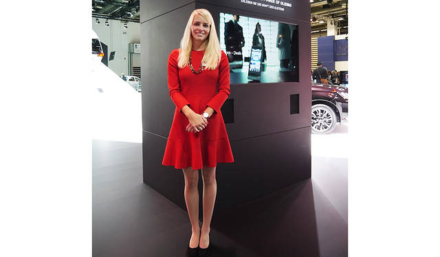 お嬢様ふうの装いは三菱自動車。やや保守的な雰囲気だけれど逆に目立ちます。