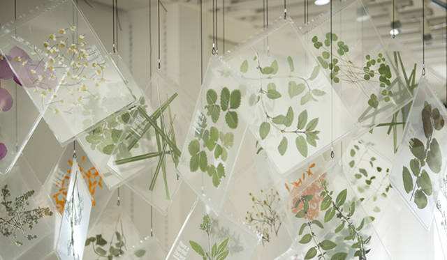 TRADESHOW EXHIBITOR「Have a Herbal Harvest／CATERING ROCKET×plantica」