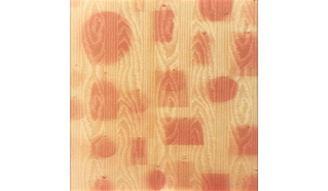 イト バラーダ 「系図 」 2005 年／150 x 150 cm／C プリントCourtesy the artist and Sfeir-Semler Gallery, Beirut/ Hamburg / Deutsche Bank Collection