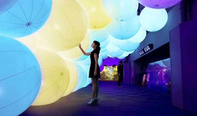 呼応する球体と夜の魚たち