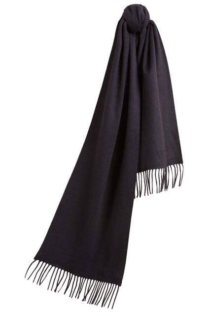 Burberry|バーバリー Embroidered Cashmere Scarf - Navy