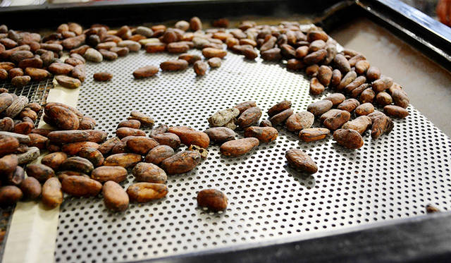 世界各地の産地から運ばれてきたカカオ。筆者のおすすめはエクアドル産カカオ72％。ハチミツのような甘さのなかに、ほのかなシナモンのフレーバーが