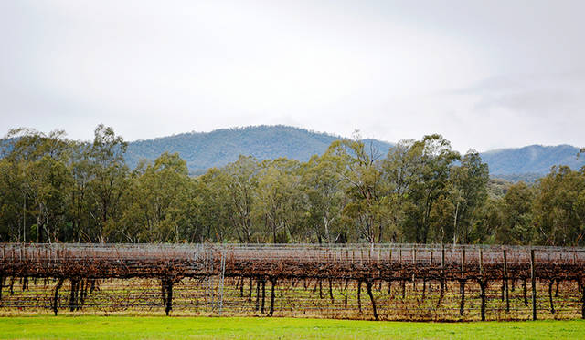 二代目たちが「子どものころはここでよく遊んだ」という風景はいまもそのままに