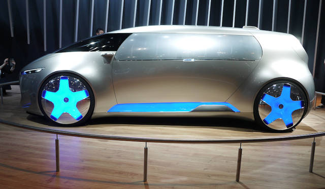 Photograph by  HORIGUCHI Yoshihiro