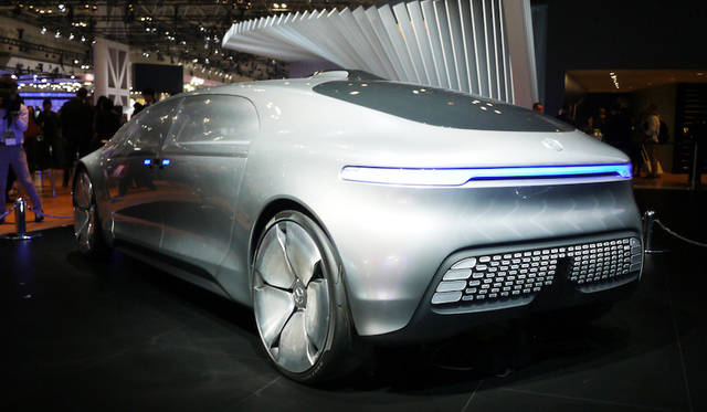 Photograph by  HORIGUCHI Yoshihiro