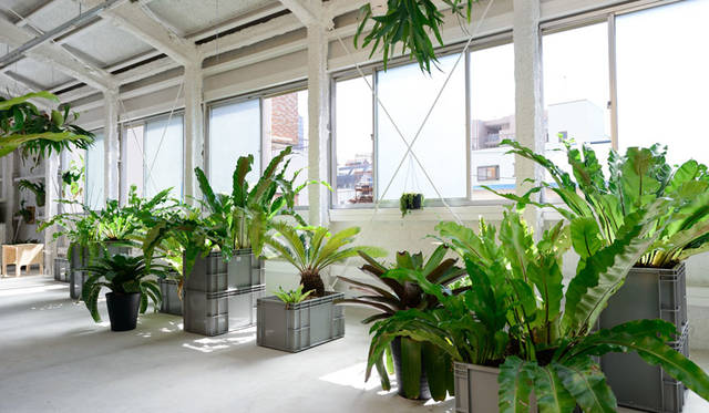 「高橋理子押上スタジオ」3階（野菜栽培をおこなう菜園とアトリエの個室スペースがある）