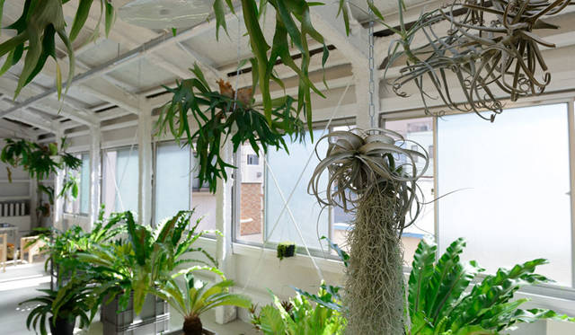 「高橋理子押上スタジオ」3階