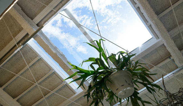 「高橋理子押上スタジオ」3階