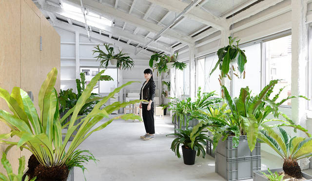 <strong>TAKAHASHI HIROKO｜高橋理子</strong><br />「高橋理子押上スタジオ」3階