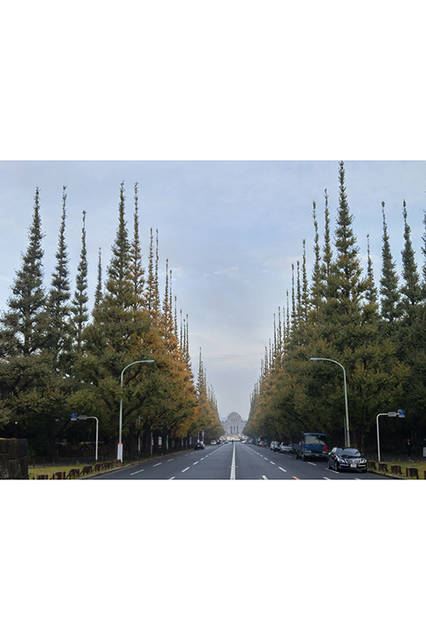 リヒトさんがisai vividを使って撮影した日常の風景