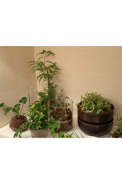 リヒトさんがisai vividを使って撮影した日常の風景