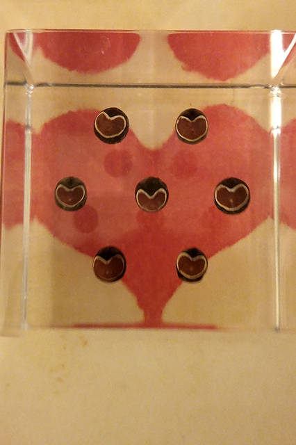 リヒトさんがisai vividを使って撮影した日常の風景