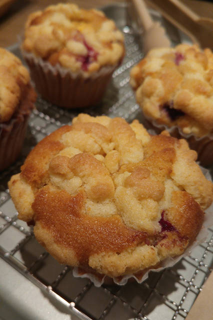 リヒトさんがisai vividを使って撮影した日常の風景