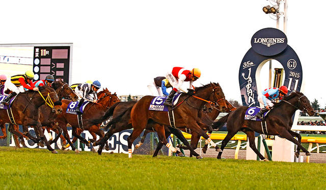 ジャパンカップを制したのは、ショウナンパンドラ